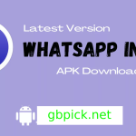 WhatsApp Indigo APK