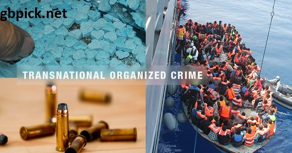  Combating Transnational Crime and Trafficking