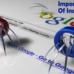 Does Google Indexing Take Too Long Now? Understanding the Impact on SEO