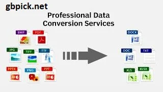 Professional Conversion Services-gbpick.net