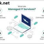 The Importance of Managed IT Services for Your Business