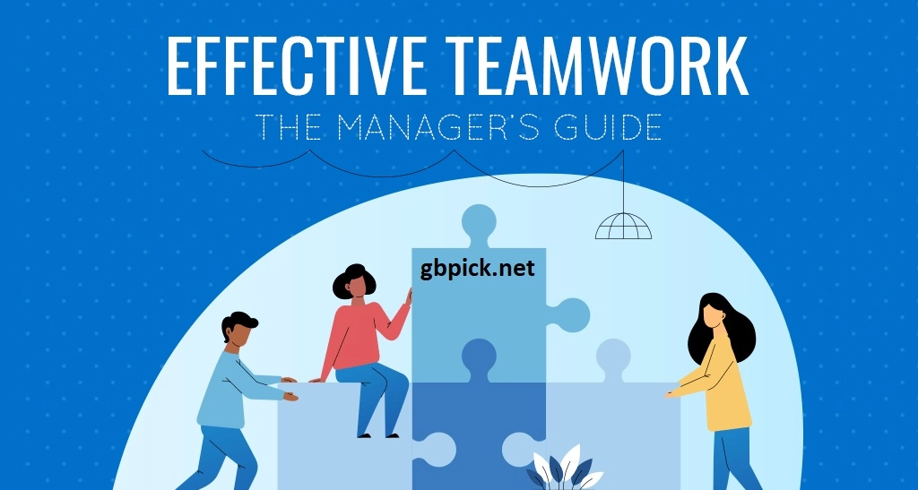 A Guide to Teamwork-gbpick.net